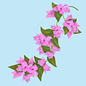 Bougainville (Bilocale)
