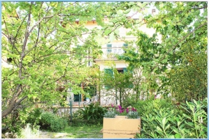 Bougainville 14 (1) (1)