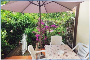 Bougainville 001 (1) (1)