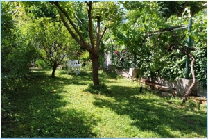 giardino15