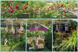 giardino mosaico-1 (1)